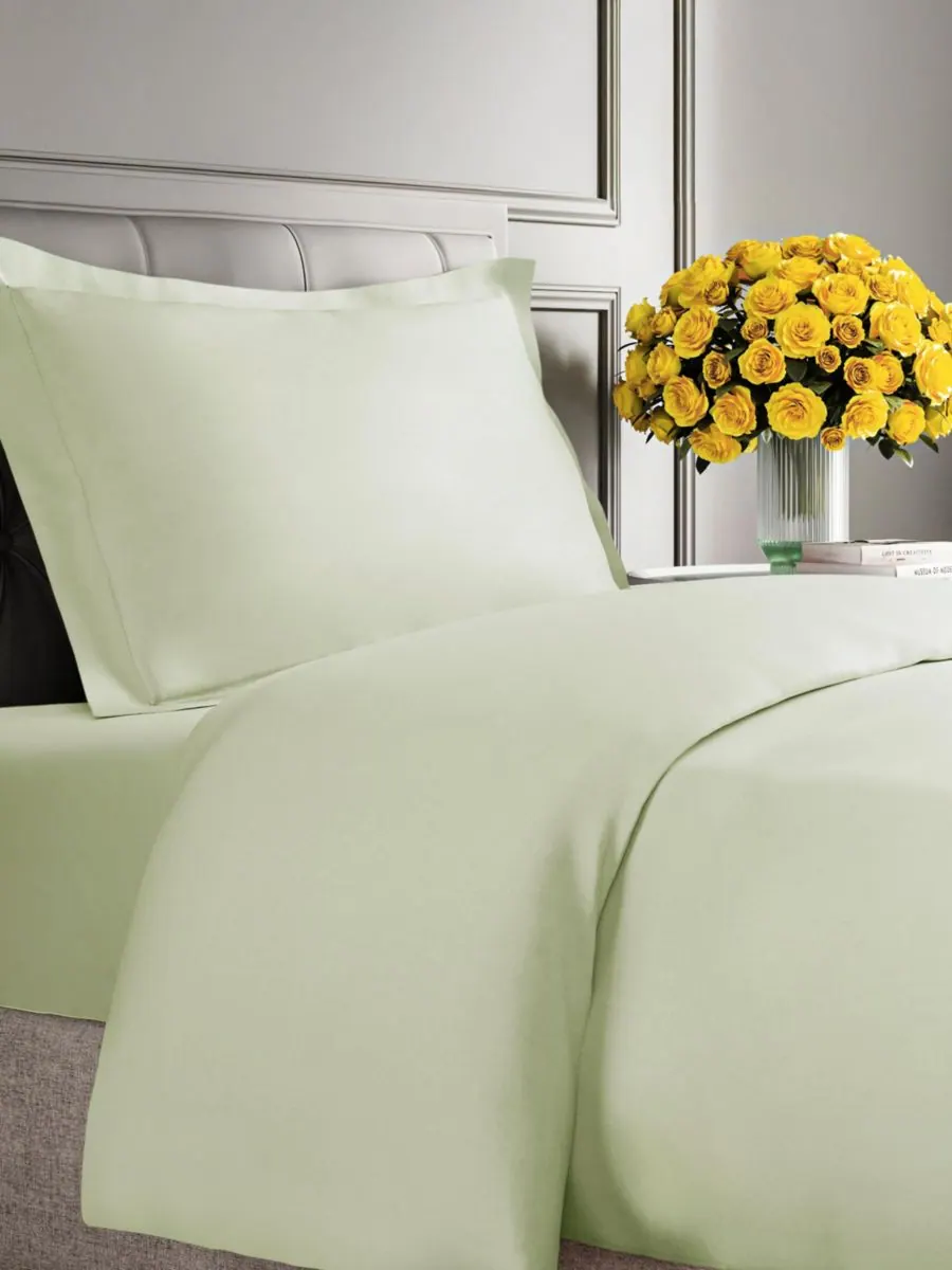 Плед из микроплюша с флисовой подкладкой CGK Unlimited, Light sage green, Twin