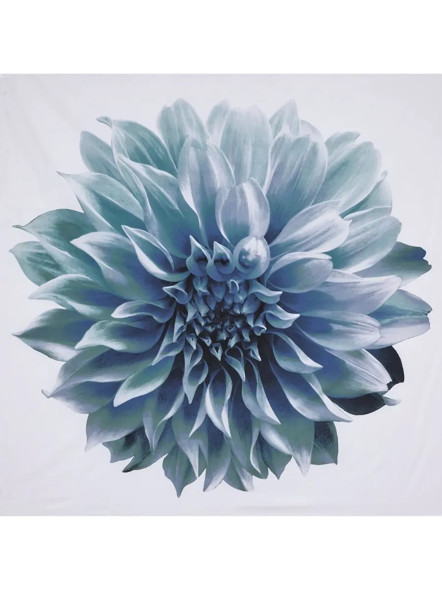 Шторка для душа Norah из хлопкового перкаля, 72" x 72" Madison Park — изображение 3 из 3, голубой