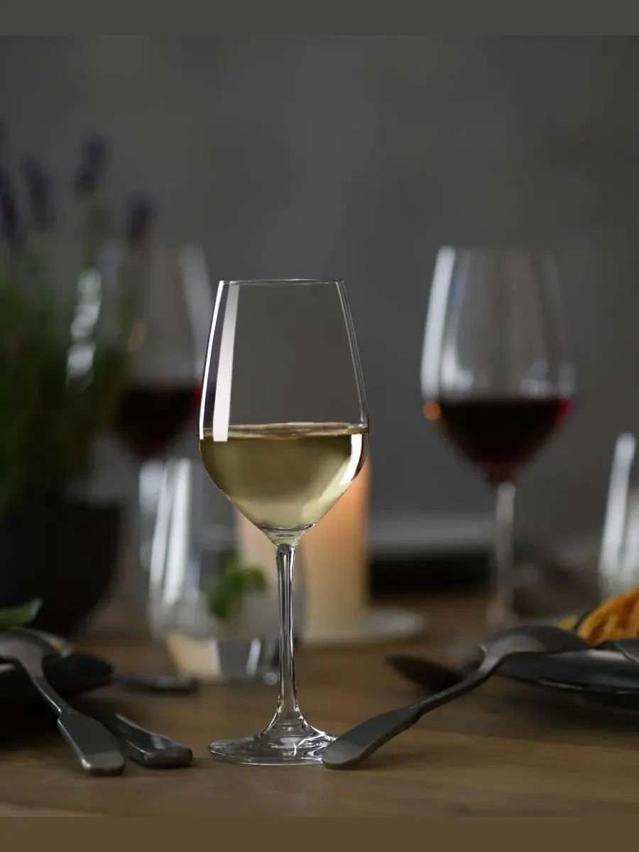 Бокал Forte, 273 мл - набор из 6 шт Schott Zwiesel — изображение 6 из 7, прозрачный