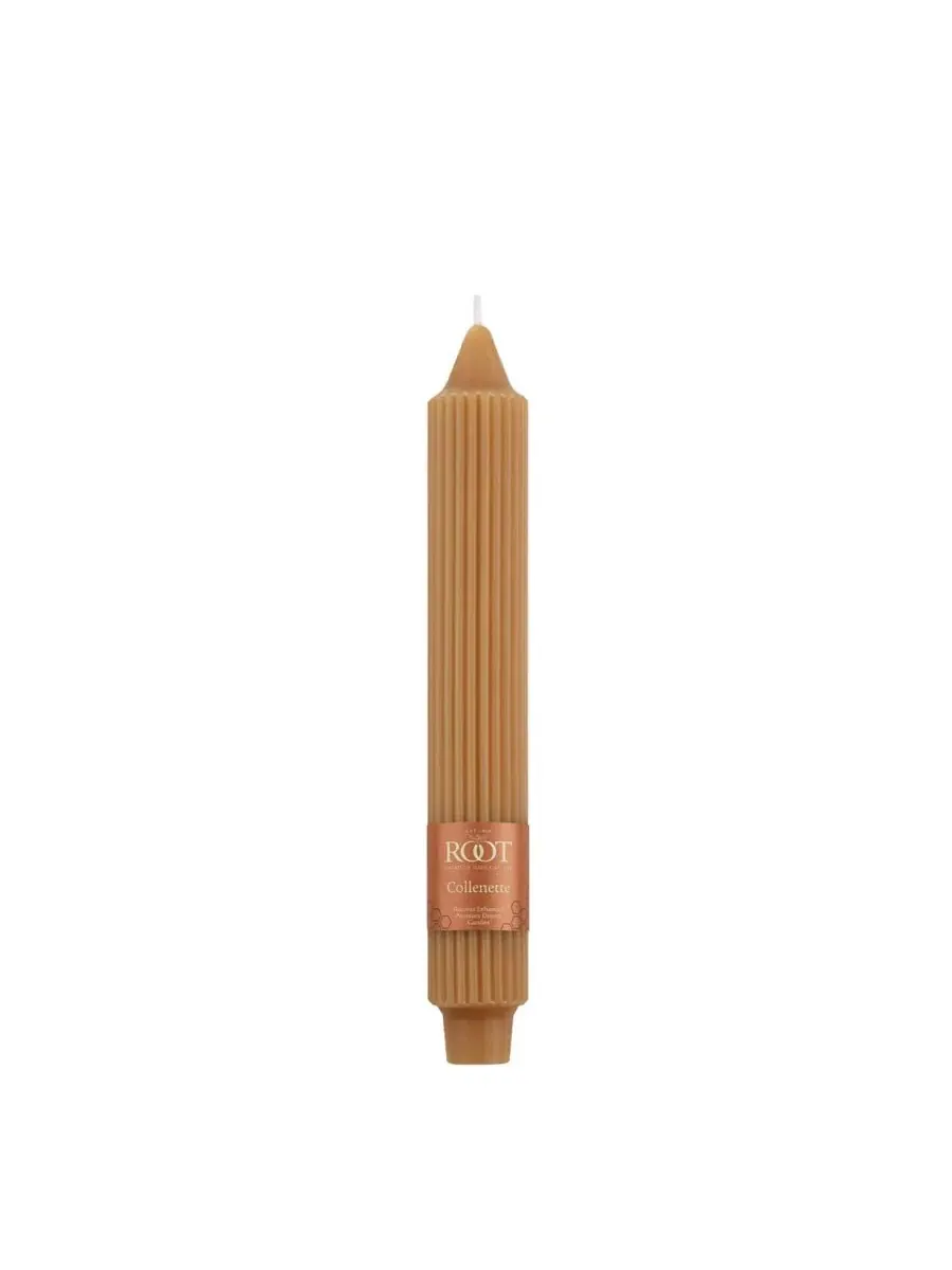Набор из 4 конусных свечей Grecian Collenette 23 см Root Candles — изображение 2 из 3, воск