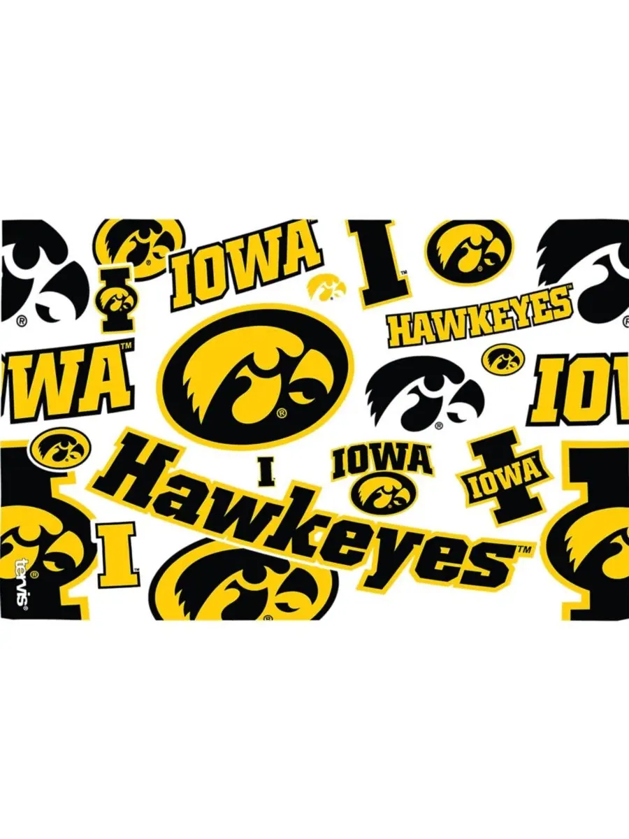 Набор из 4 стаканов Tervis Iowa Hawkeyes, 16 унций, с эмблемой — изображение 5 из 5