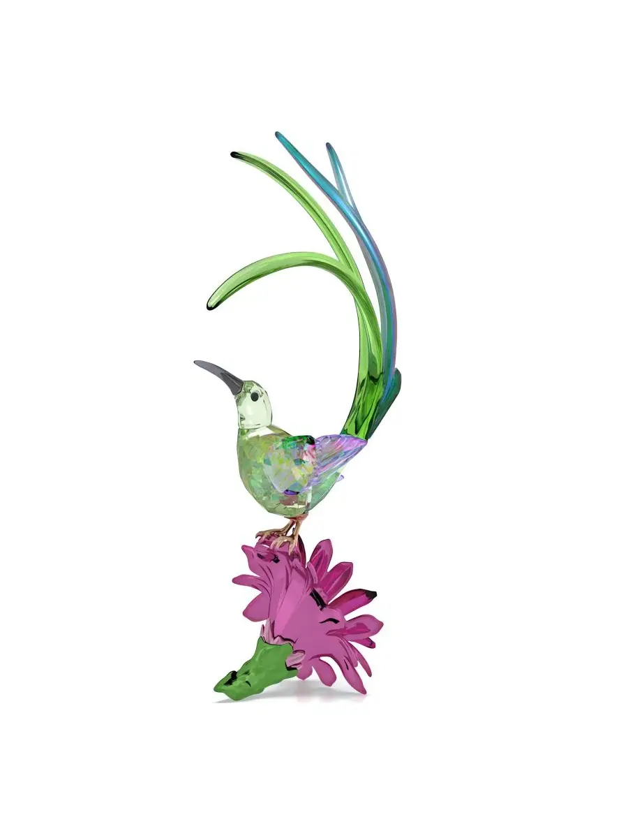 Фигурка из кристаллов Sugarbird and Cactus Flower Swarovski — изображение 3 из 4, мульти