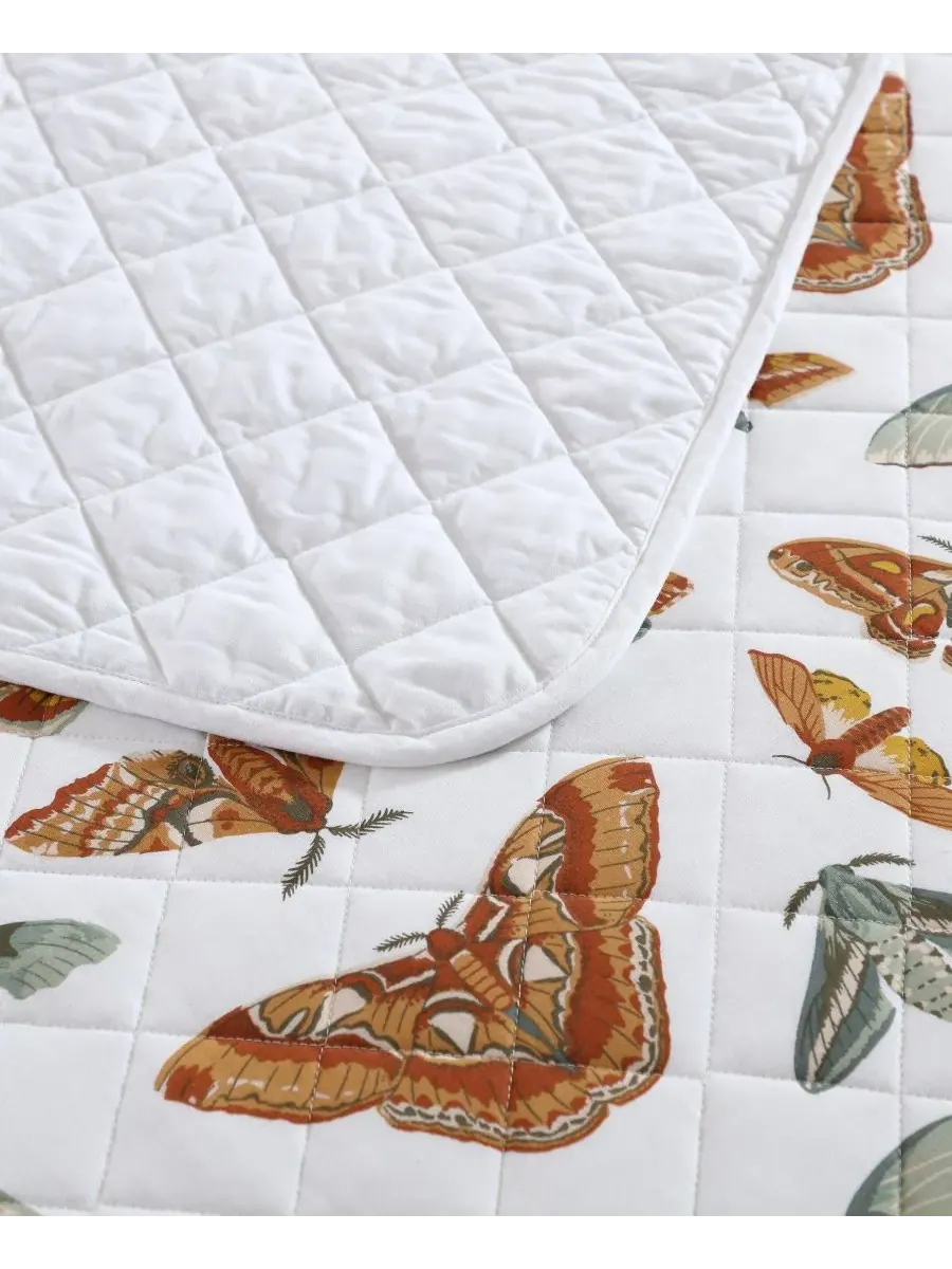 Комплекты двусторонних хлопковых стеганых одеял Wilford Butterfly Eddie Bauer — изображение 5 из 8, светлый бежевый