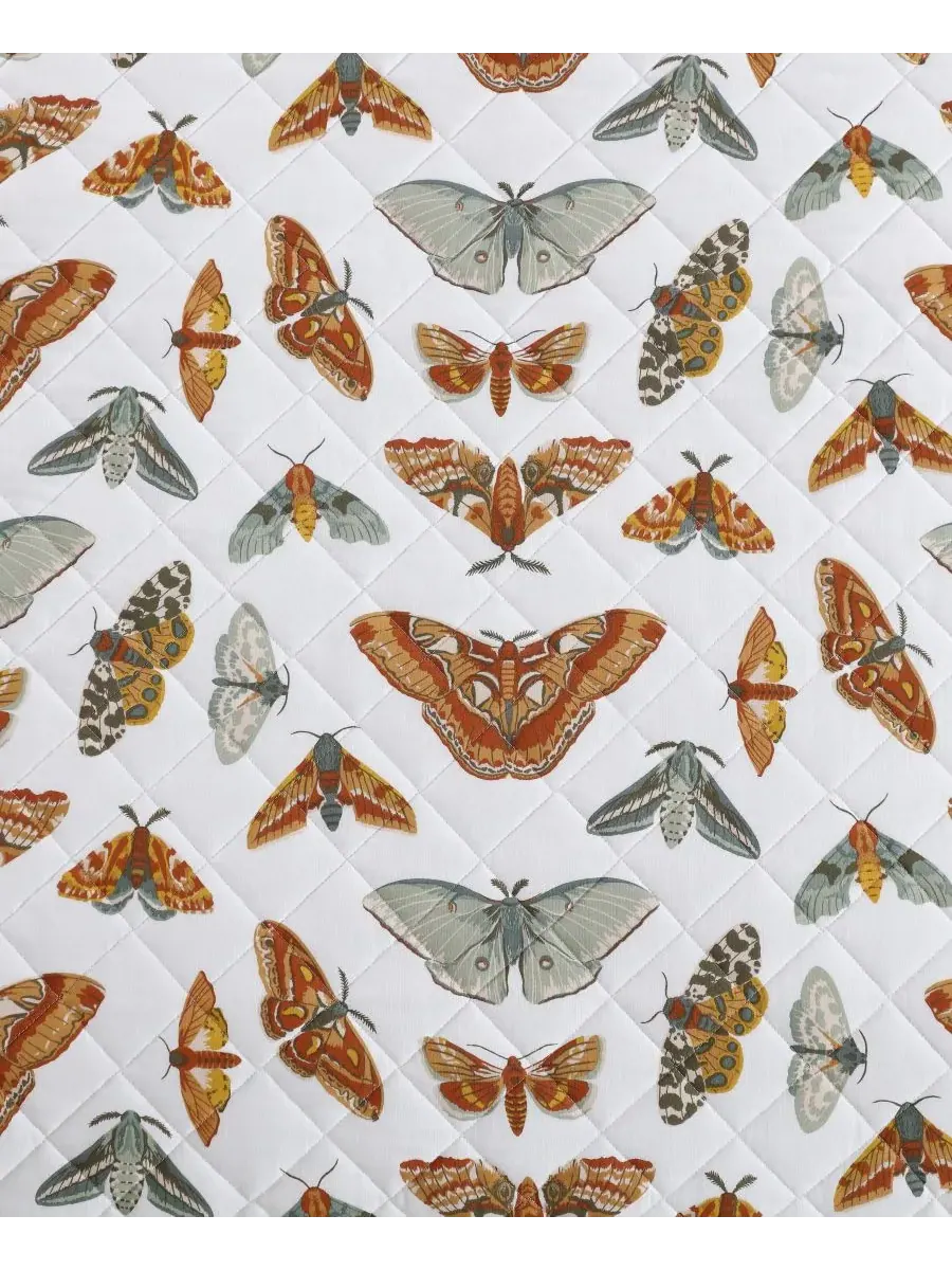 Комплекты двусторонних хлопковых стеганых одеял Wilford Butterfly Eddie Bauer — изображение 6 из 8, светлый бежевый