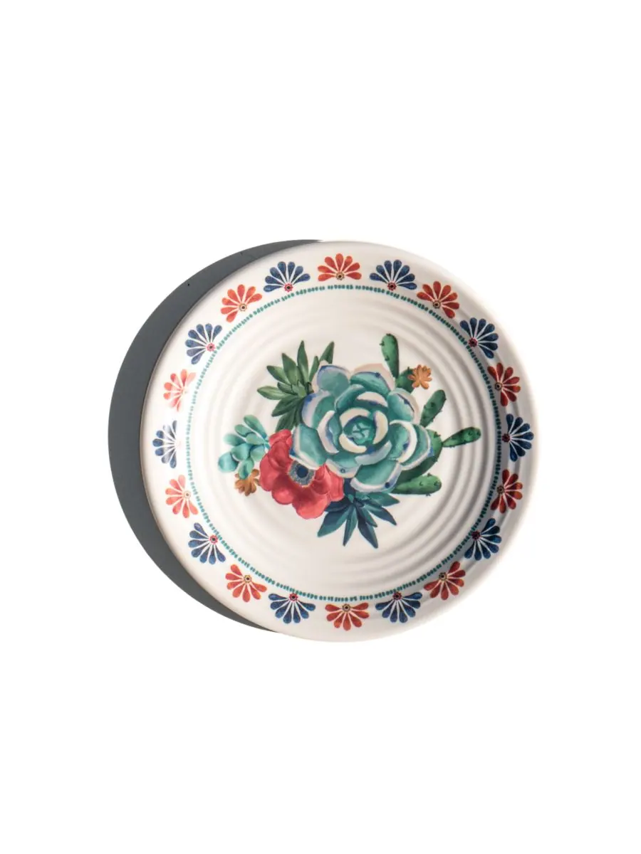 Набор из 6 салатных тарелок Desert Succulent, рассчитанных на 6 персон Abode Homewares — изображение 2 из 5, бежевый