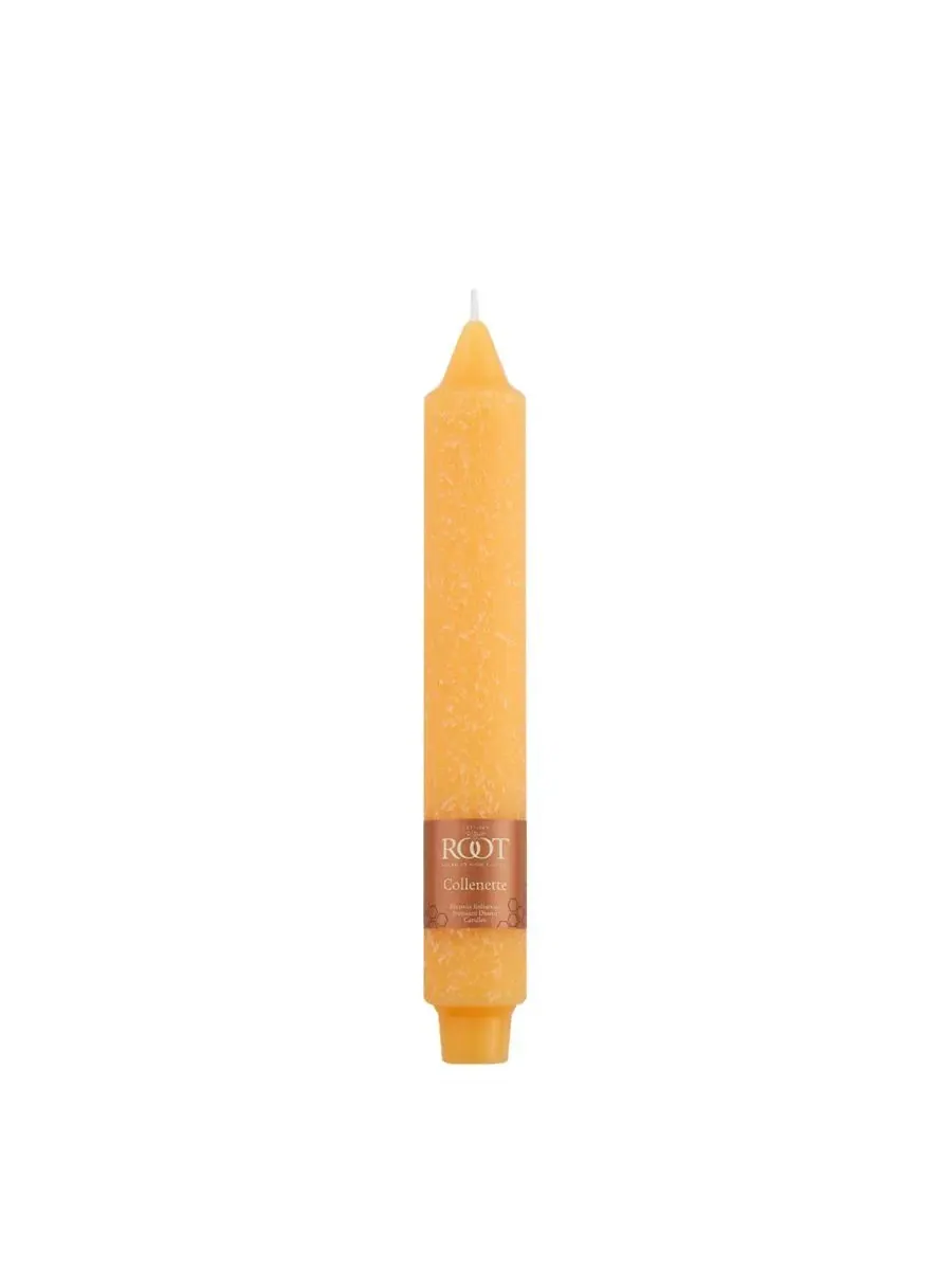 Набор из 4 конусных свечей Timberline Collenette 23 см Root Candles — изображение 2 из 3, коричневый