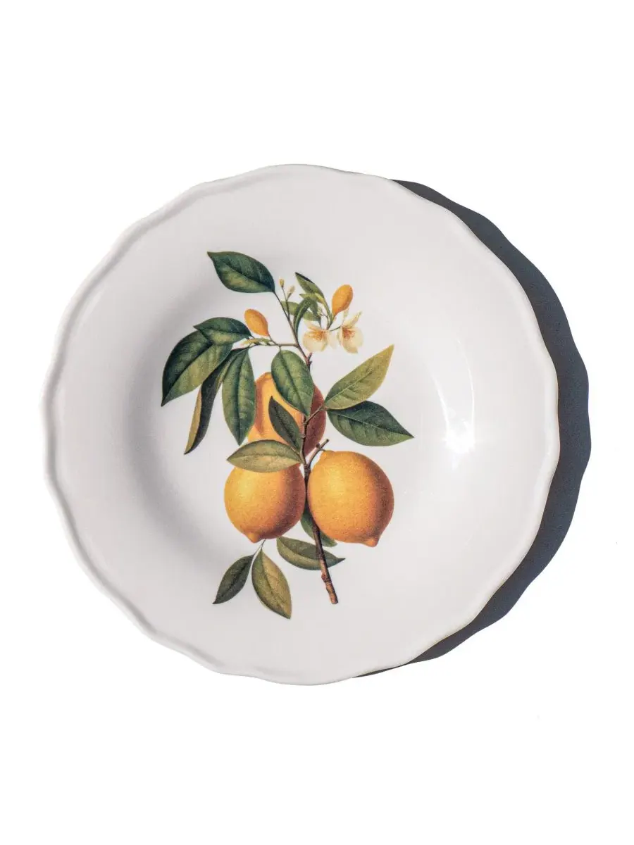 Набор салатных тарелок Fruitstand NewWave Melamine, 4 шт Abode Homewares — изображение 4 из 6, мульти