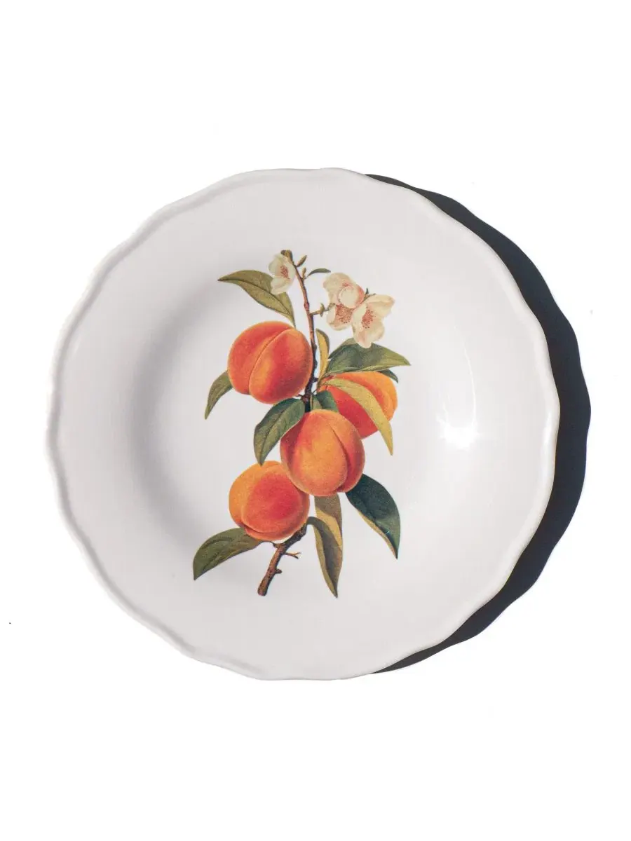 Набор салатных тарелок Fruitstand NewWave Melamine, 4 шт Abode Homewares — изображение 5 из 6, мульти