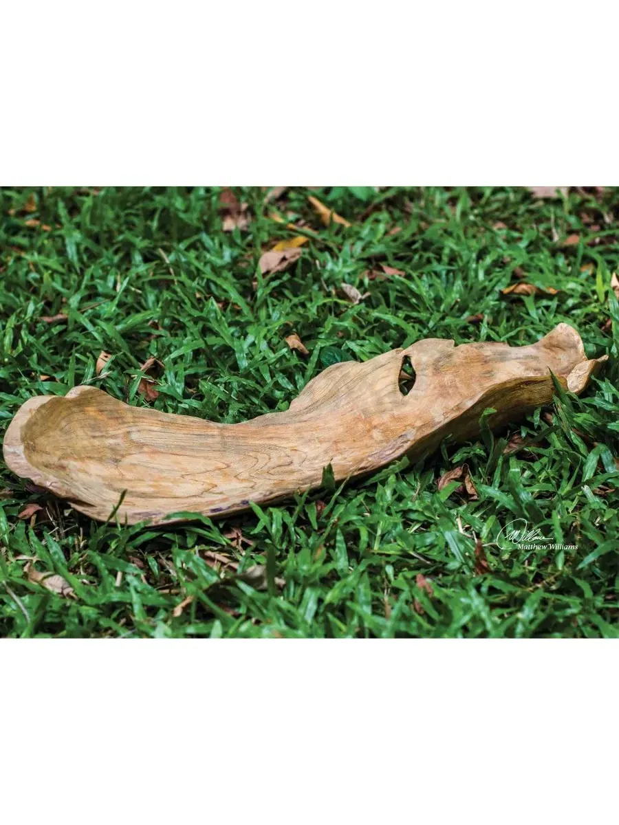 Чаша из тикового дерева в форме листа, 12 см Uttermost — изображение 4 из 7, коричневый