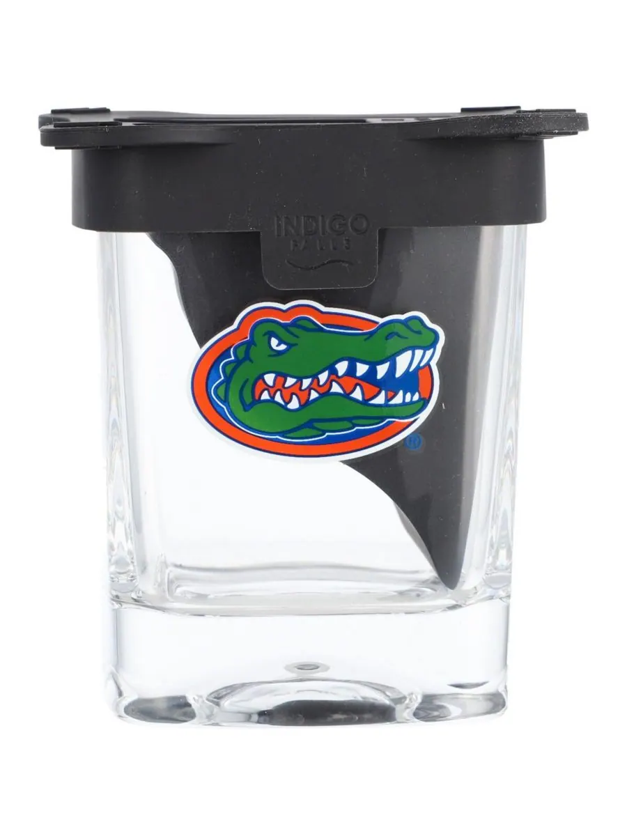 Стакан для льда объемом 10 унций с изображением команды Florida Gators Indigo Falls — изображение 1 из 1, прозрачный