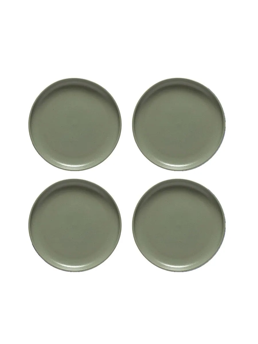 Набор салатных тарелок Pacifica Dinnerware, 4 штуки Casafina by Costa Nova — изображение 1 из 4, артишок