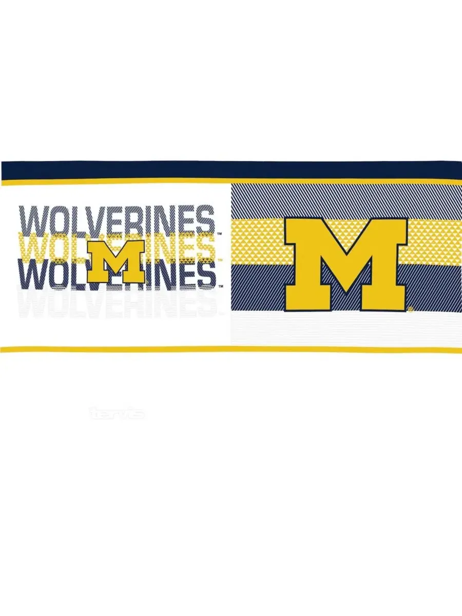 Набор из 2 термостаканов Tervis с эмблемой Michigan Wolverines, 16 унций — изображение 3 из 3, нет цвета