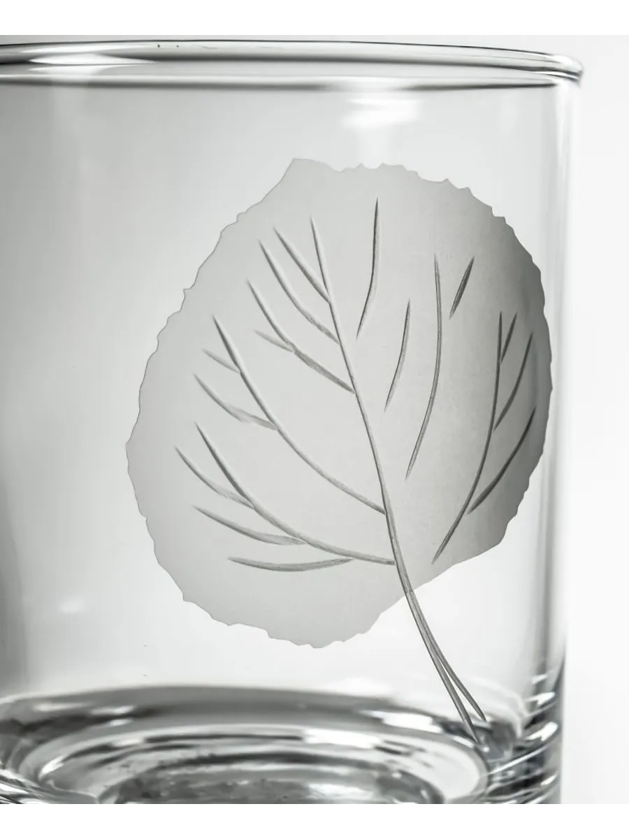 Набор из 4 стаканов Leaf Double Old Fashioned Glass объемом 13 унций (373 мл) Rolf Glass — изображение 3 из 3, прозрачный