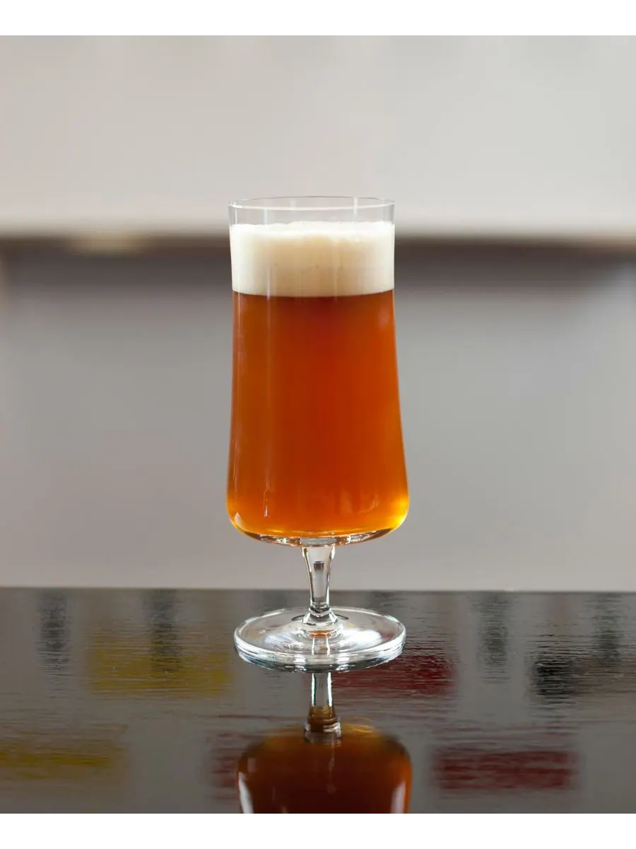 Набор из 6 маленьких пивных бокалов для пива Pilsner объемом 13,5 унций (385 мл) Schott Zwiesel — изображение 2 из 4