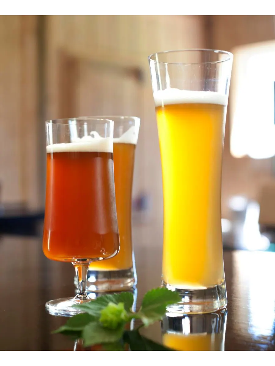 Набор из 6 маленьких пивных бокалов для пива Pilsner объемом 13,5 унций (385 мл) Schott Zwiesel — изображение 4 из 4