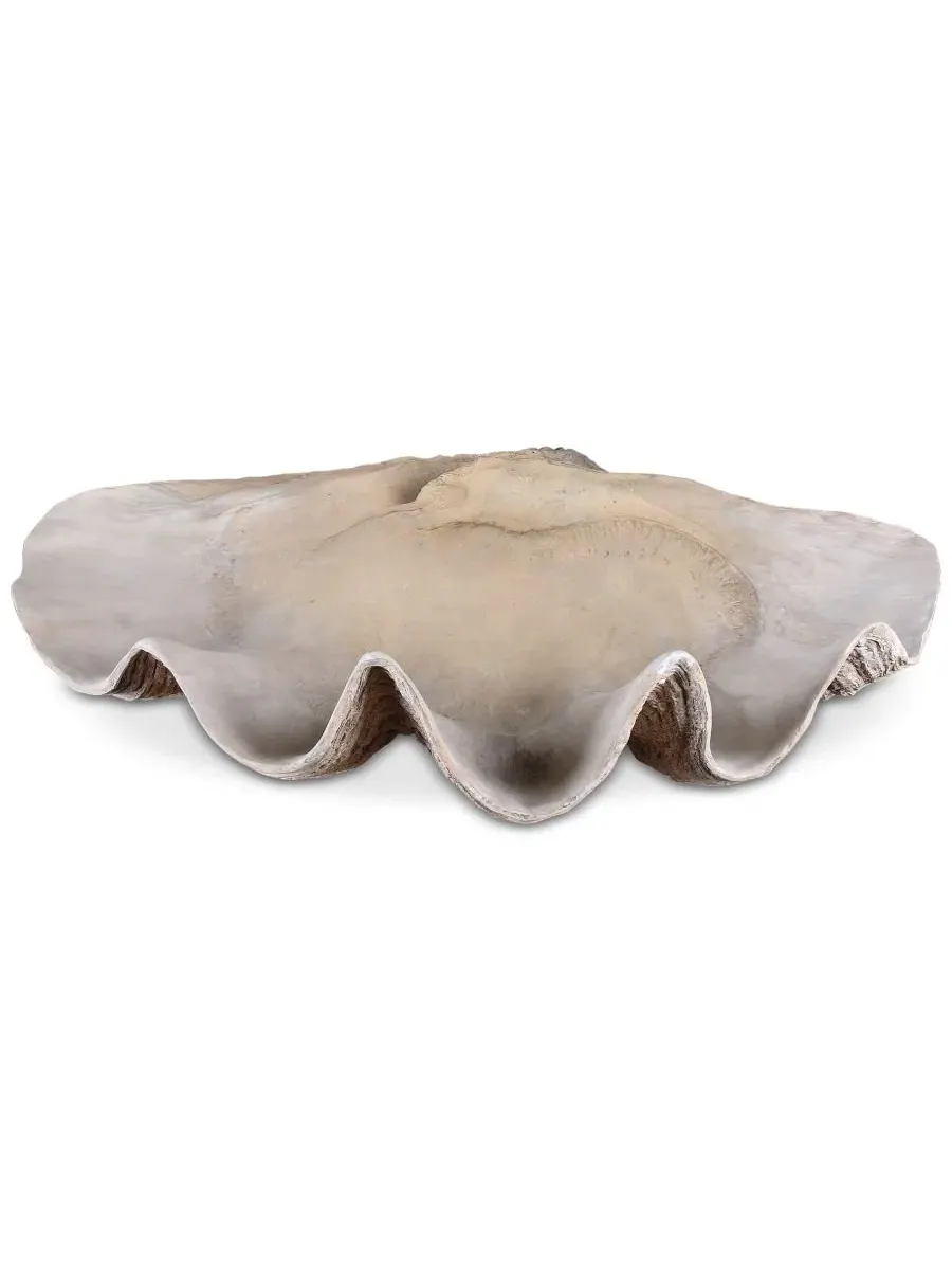 Чаша в форме ракушки Uttermost — изображение 1 из 1, нет цвета