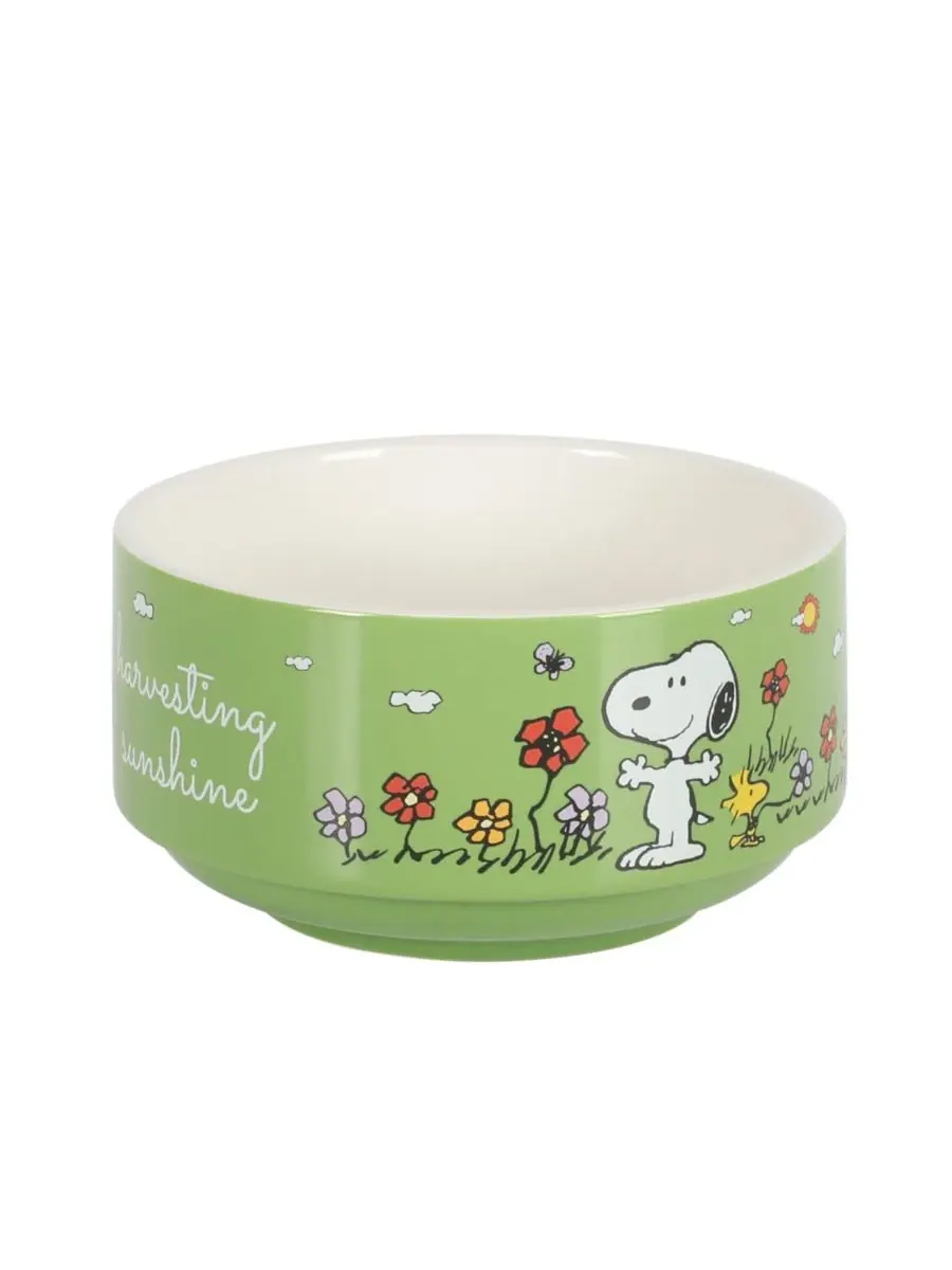 Набор из 4 штабелируемых декоративных керамических мисок Snoopy высотой 14 см Peanuts — изображение 8 из 10