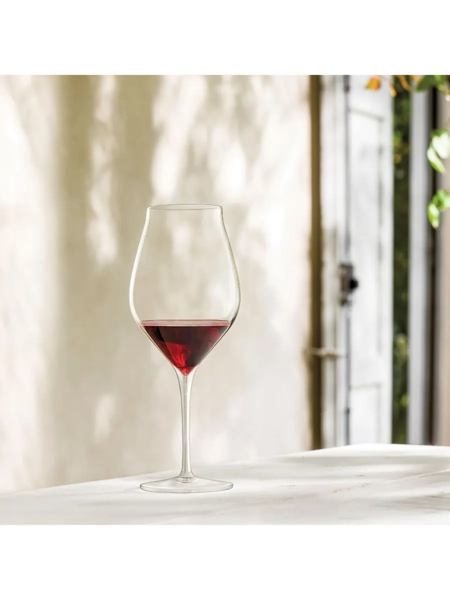 Набор из 2 бокалов для вина Vinea Cannonau объемом 18,5 унций Luigi Bormioli — изображение 2 из 2, прозрачный