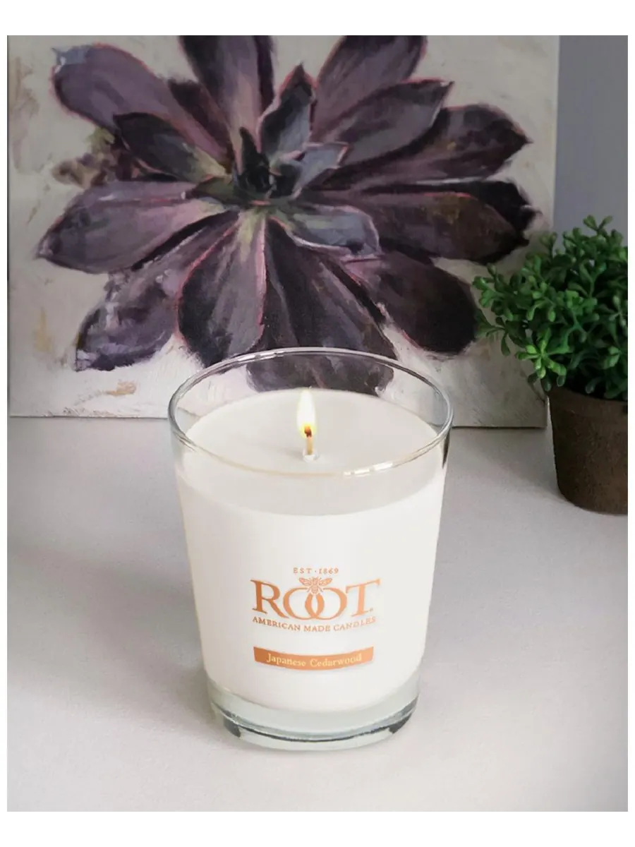 Большая ароматическая свеча в стеклянной банке из японского кедра Veriglass ROOT CANDLES — изображение 2 из 5, прозрачный