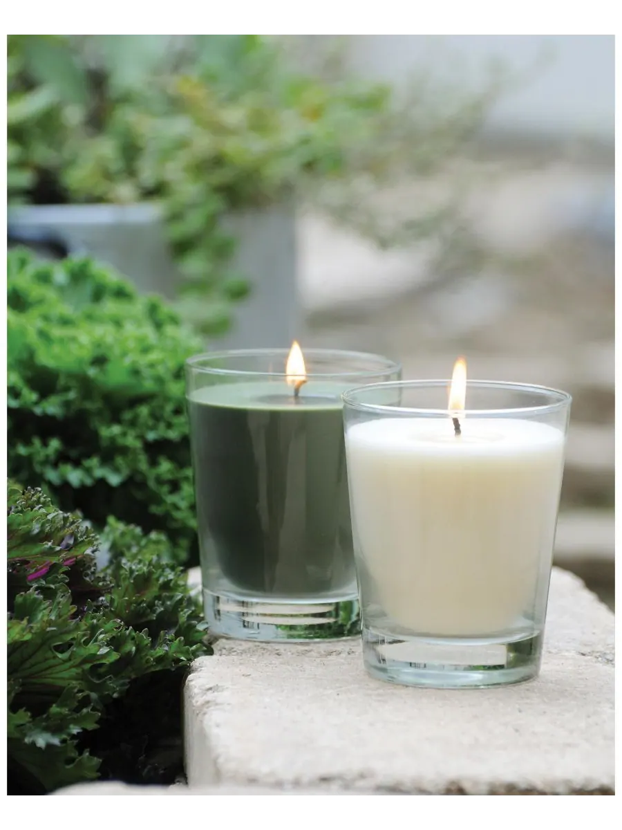 Большая ароматическая свеча в стеклянной банке из японского кедра Veriglass ROOT CANDLES — изображение 3 из 5, прозрачный