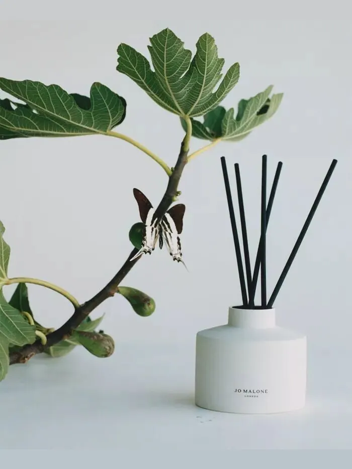 Диффузор для таунхауса Fresh Fig & Cassis, 11,8 унции Jo Malone London — изображение 4 из 4