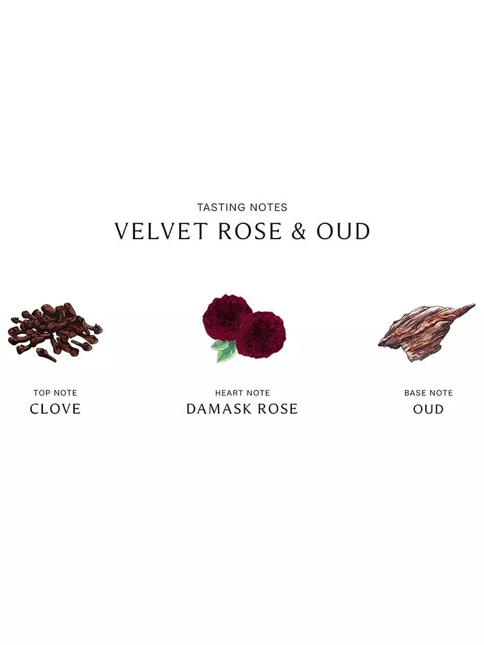 Диффузор Velvet Rose & Oud, 5,6 унций Jo Malone London — изображение 3 из 3