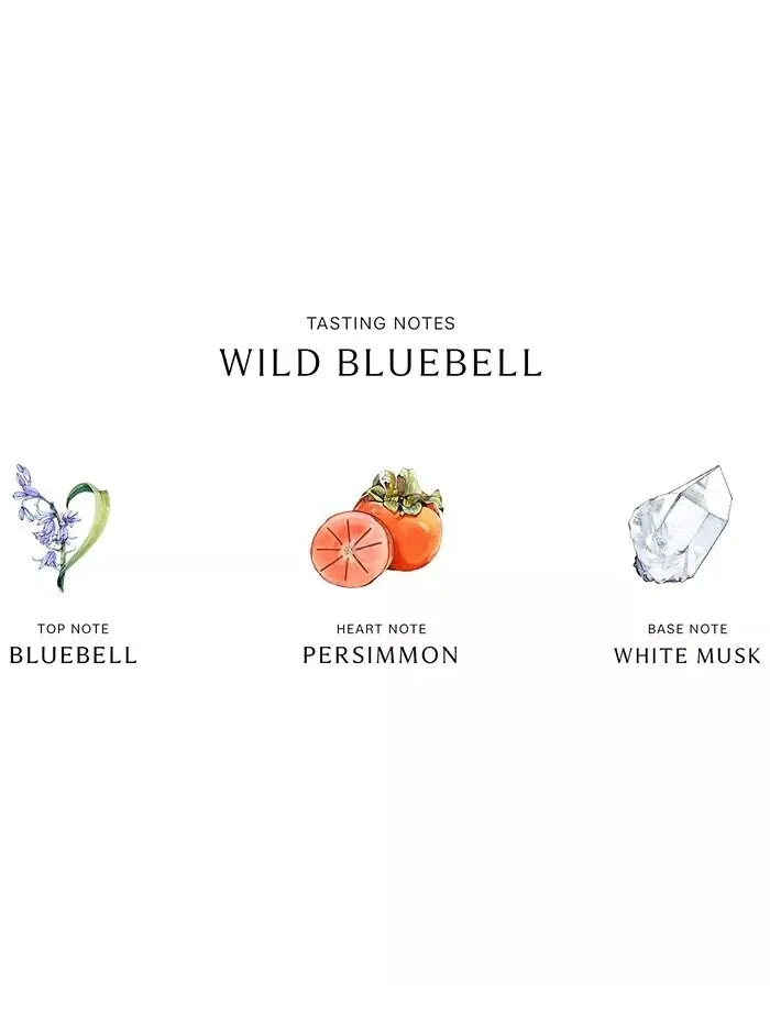 Диффузор Wild Bluebell, 5,6 унции Jo Malone London — изображение 3 из 4