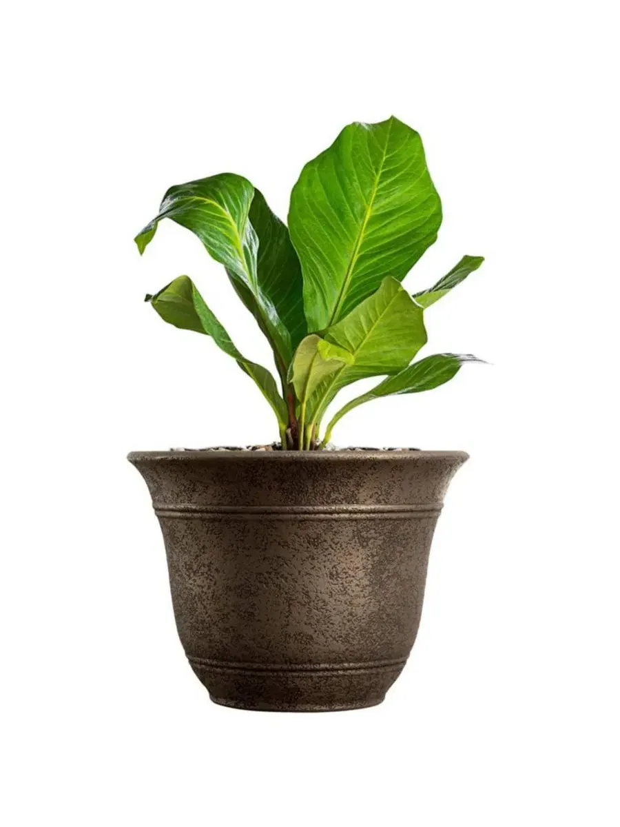 Круглый пластиковый горшок для растений Sierra Planter шириной 33 см (33 см). HC Companies Listo — изображение 2 из 5