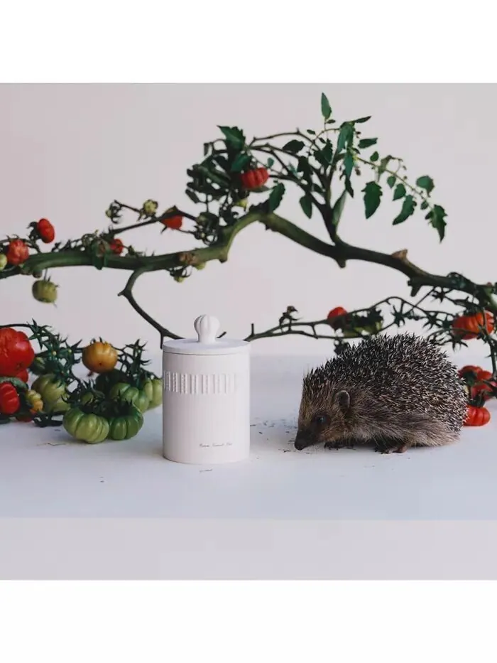Свеча Green Tomato Vine Home, 10,6 унций Jo Malone London — изображение 2 из 4