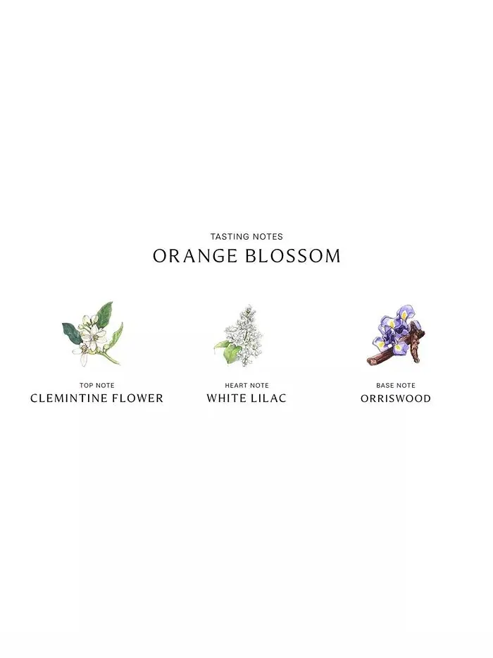 Диффузор «Цветок апельсина», 5,6 унции Jo Malone London — изображение 3 из 4