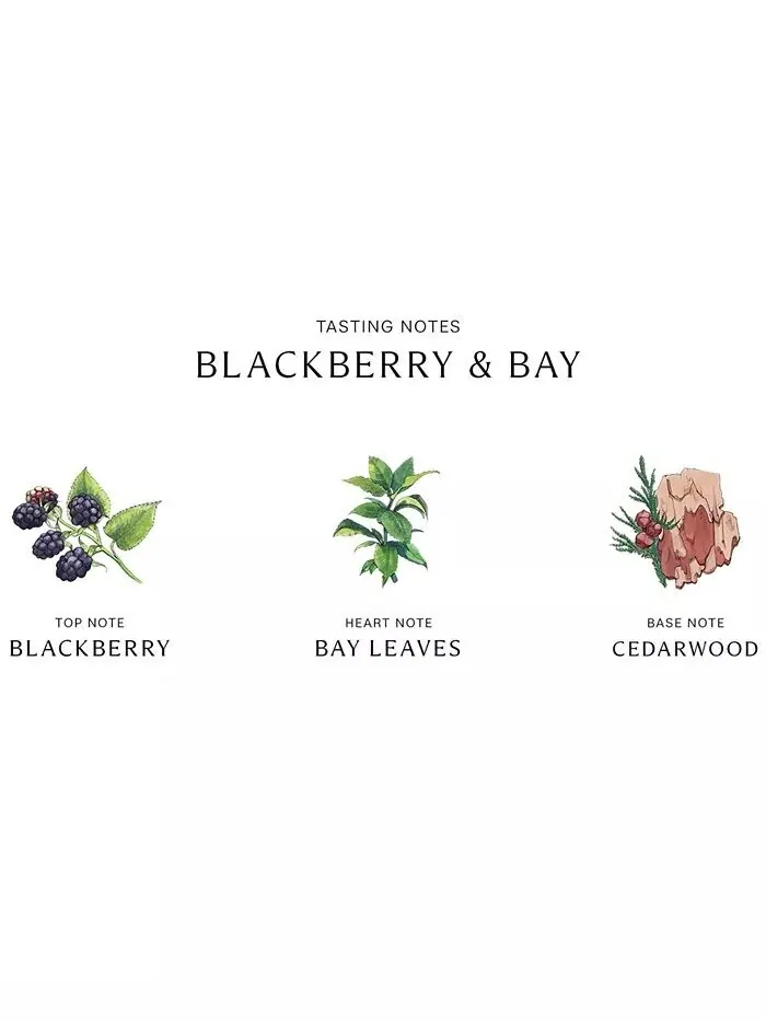 Диффузор Blackberry & Bay, 5,6 унций Jo Malone London — изображение 3 из 4