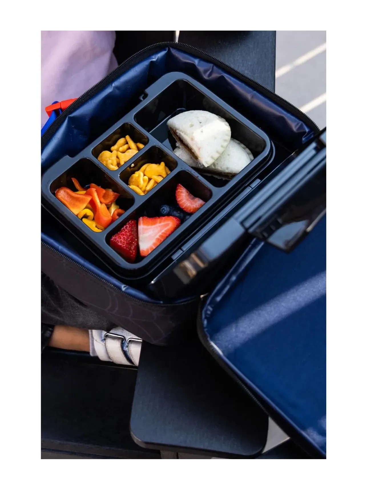 Детская сумка для обеда Hadley Kids Lunch Box Simple Modern — изображение 3 из 3, розовый