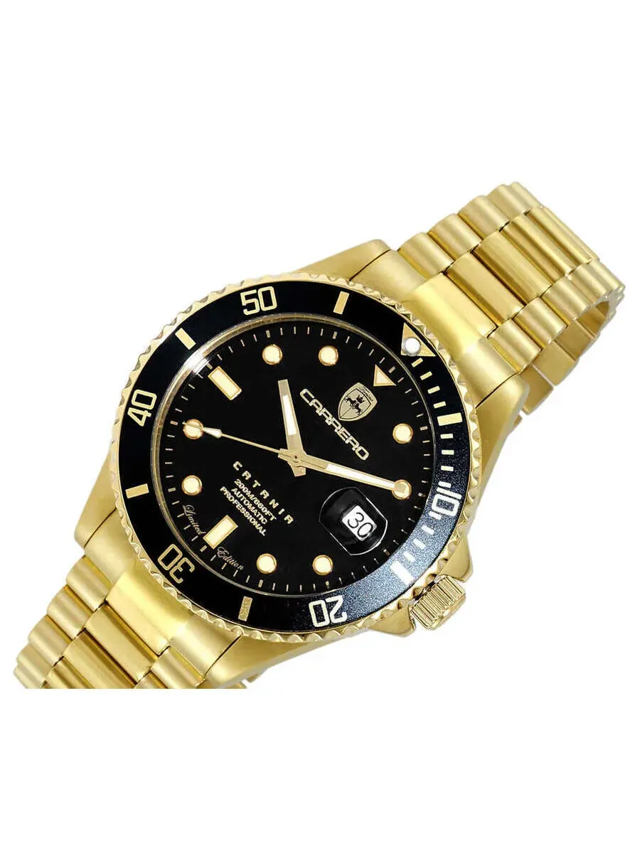 Мужские часы Torino Carrero Catania Automatic с черным циферблатом C1G888BKJ — изображение 4 из 4, оттенок черный