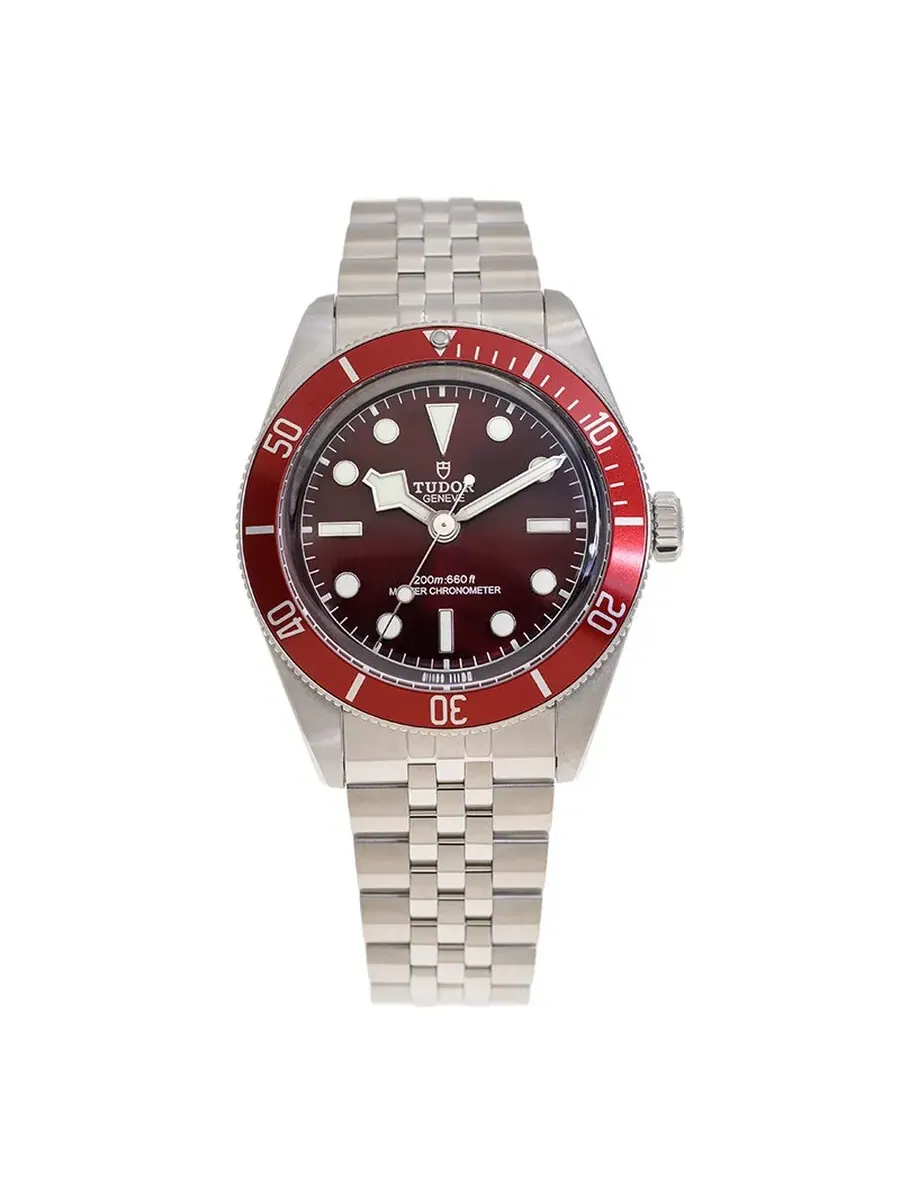 Часы Tudor Black Bay 58 Automatic Chronometer Watch M7939A1A0RU-0001 — изображение 2 из 5, оттенок бордовый