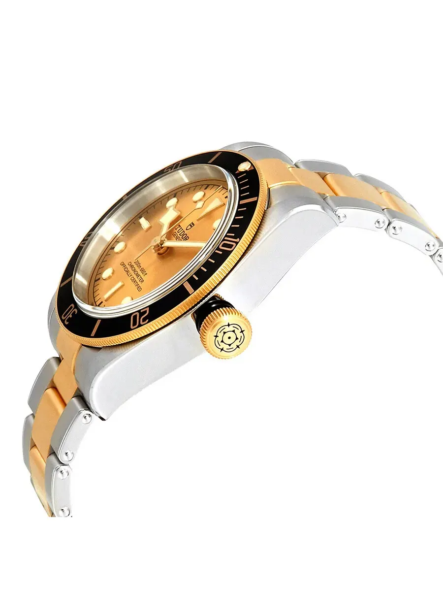 Мужские часы Tudor Black Bay Automatic 41 мм с шампанским циферблатом M79733N-0004 — изображение 2 из 4, оттенок шампань