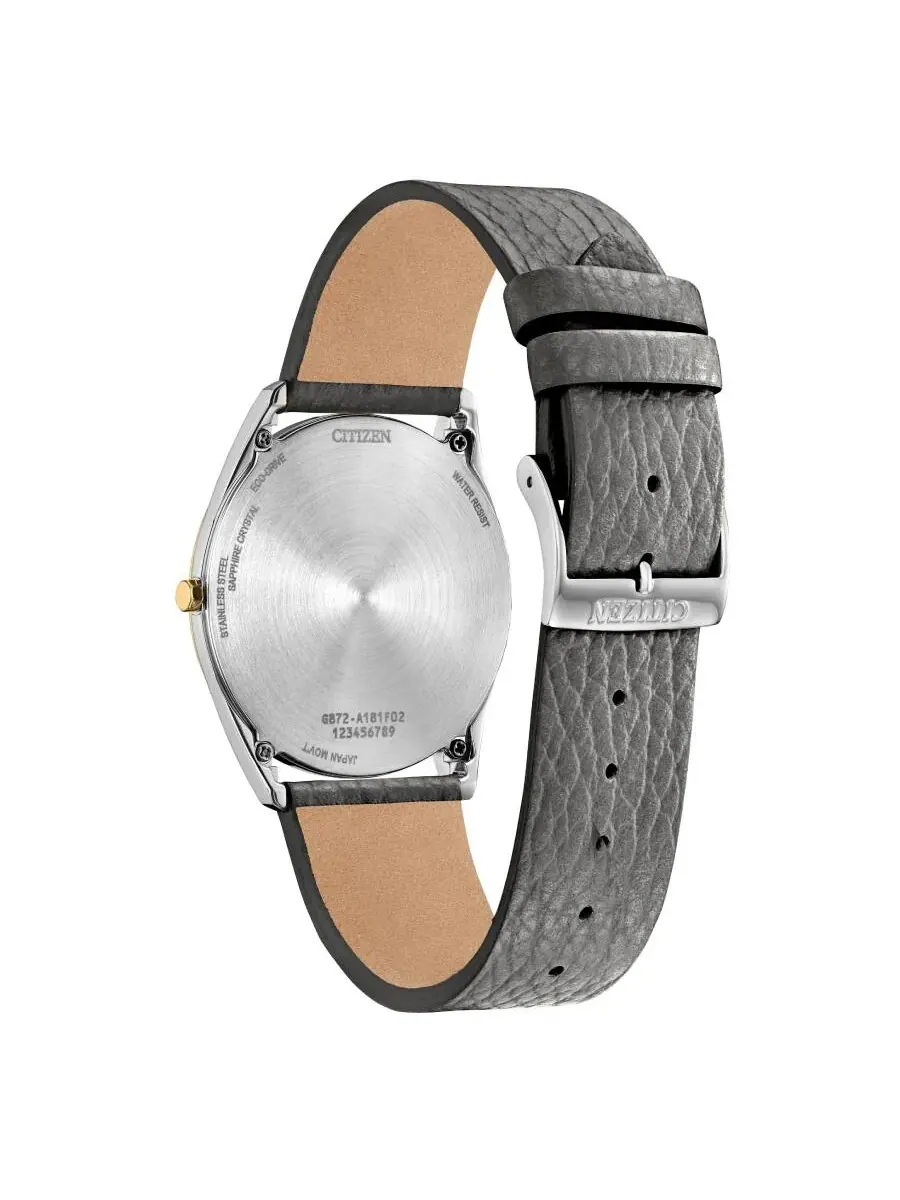 Часы Citizen Suratto Gray с кожаным ремешком AR3124-07H — изображение 3 из 3, оттенок золотистый