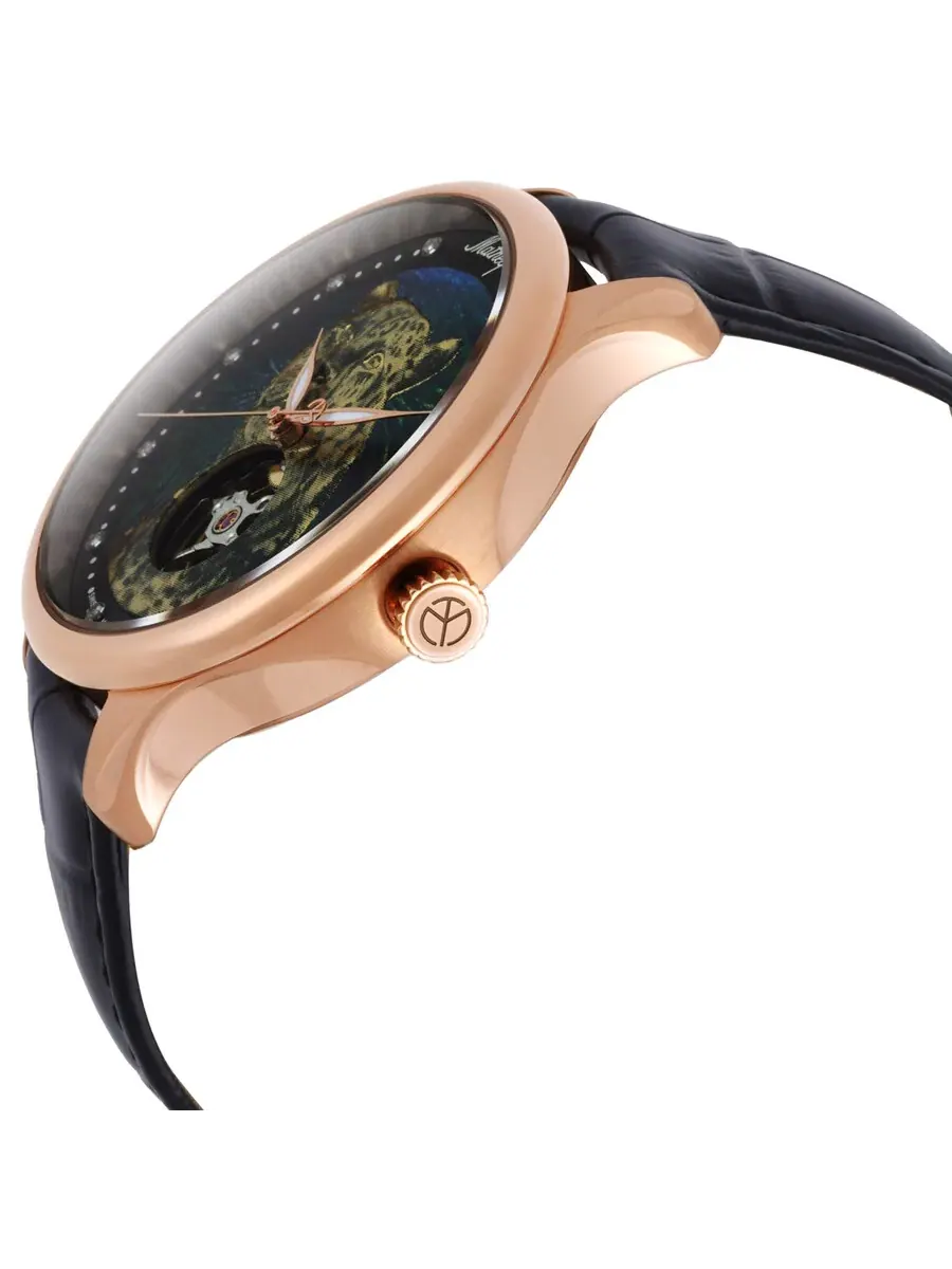 Мужские часы Mathey-Tissot Edmond Auto с ручной сборкой и многоцветным циферблатом MC1886PLEO — изображение 2 из 3