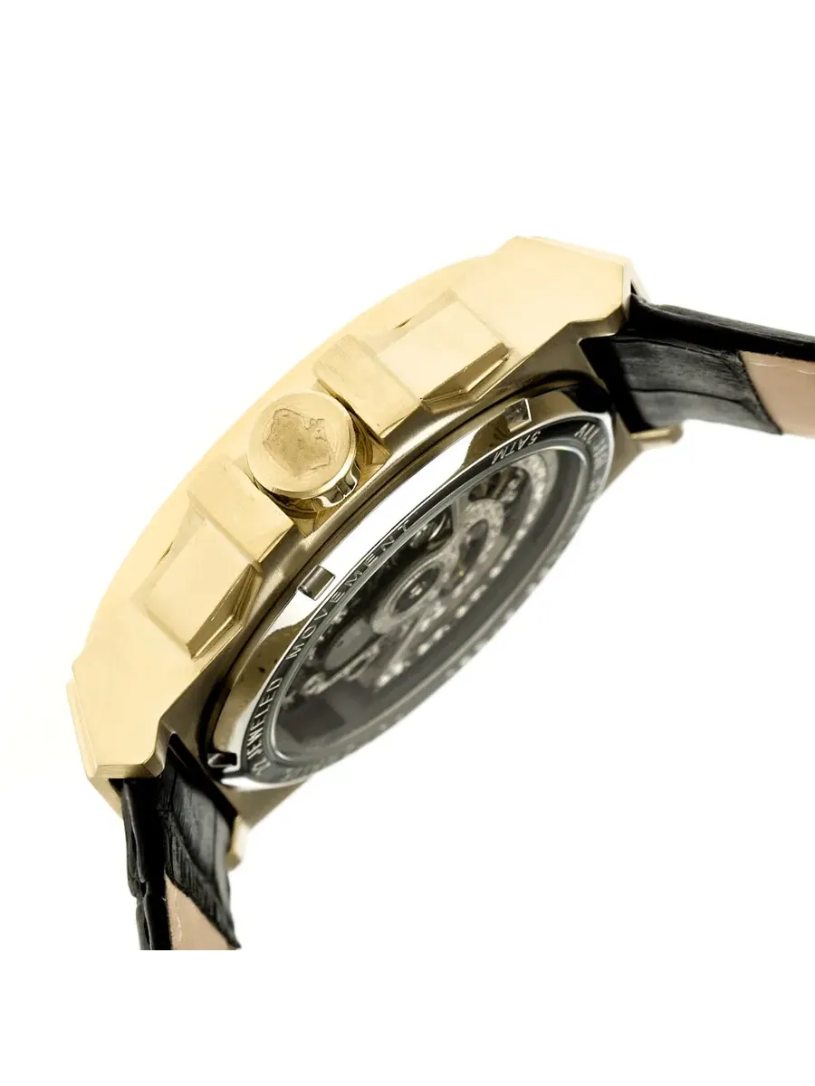 Мужские часы Reign Commodus Automatic с черным циферблатом REIRN4004 — изображение 3 из 3, оттенок золотистый