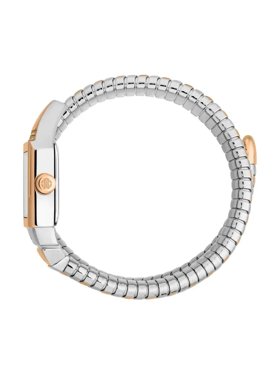 Женские часы Roberto Cavalli Snake Core с серебристым циферблатом RC5L076M0065 — изображение 3 из 3