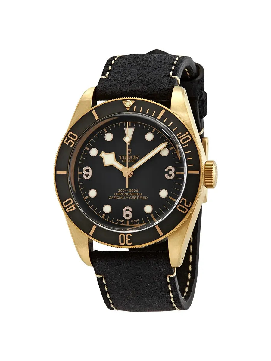 Мужские автоматические часы Tudor Black Bay Bronze M79250BA-0001 — изображение 1 из 4, оттенок серый