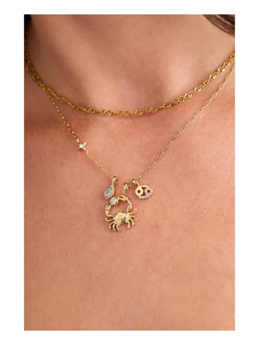 Колье с подвесками Cancer Zodiac Charm Cluster Alex and Ani — изображение 3 из 3