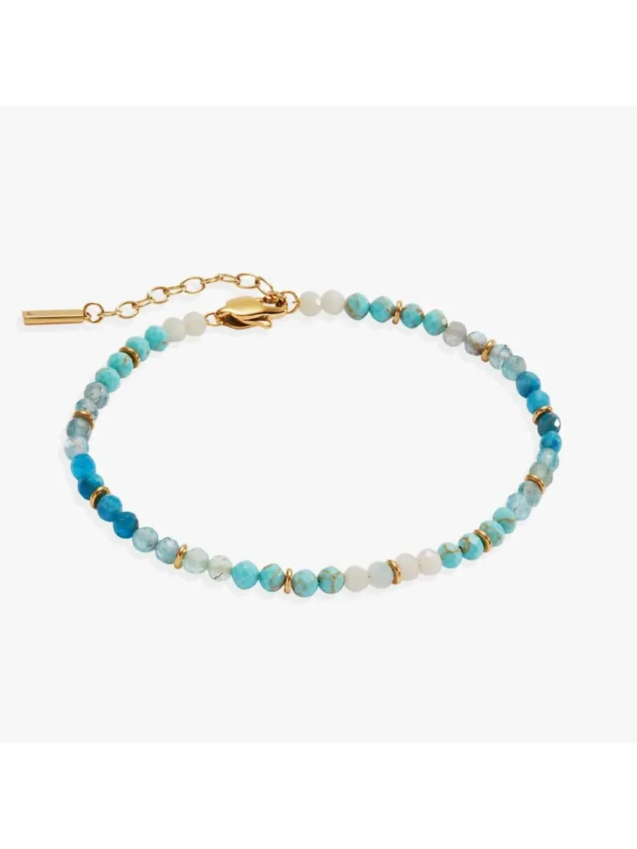 Браслет на щиколотку с омбре из полудрагоценных камней Alex and Ani