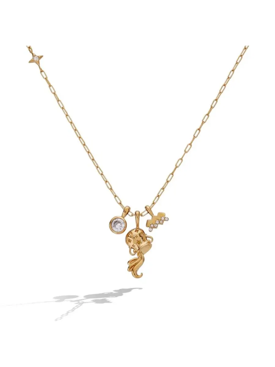 Подвеска-кулон с символом Водолея, модель Aquarius Zodiac Charm Cluster Alex and Ani