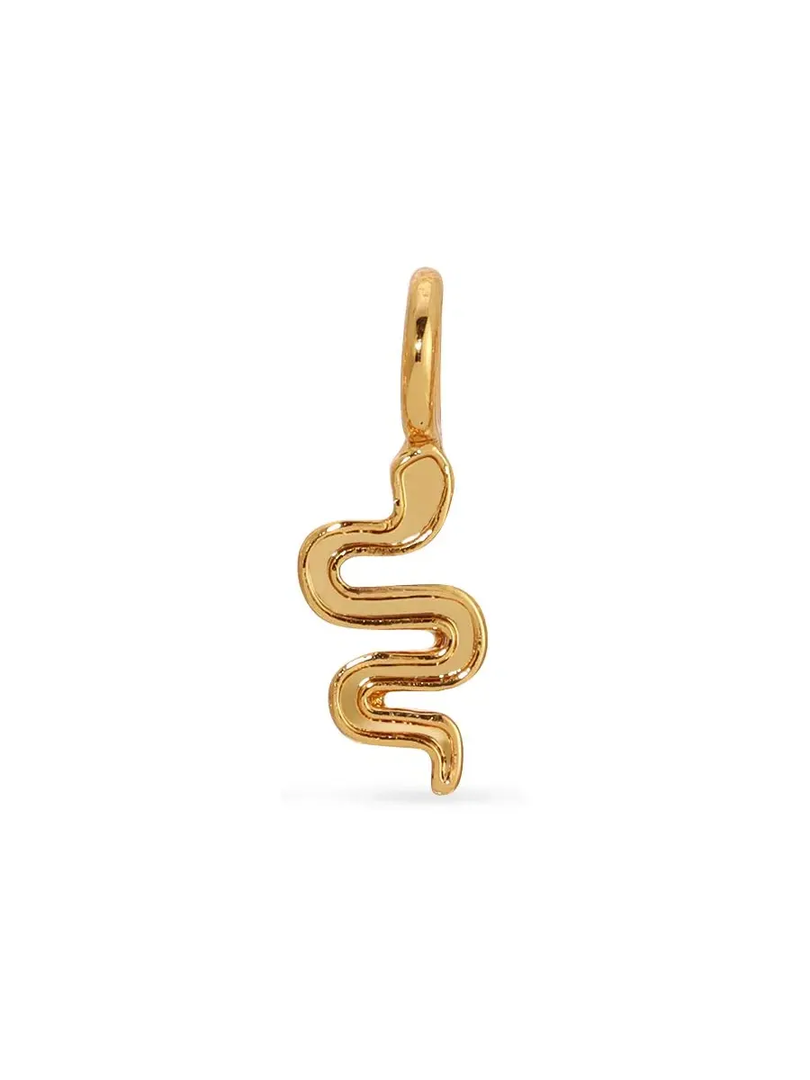 Подвеска с символом змеи 14k с золотым покрытием, бренд Lucky Feather — изображение 2 из 2, оттенок нет цвета