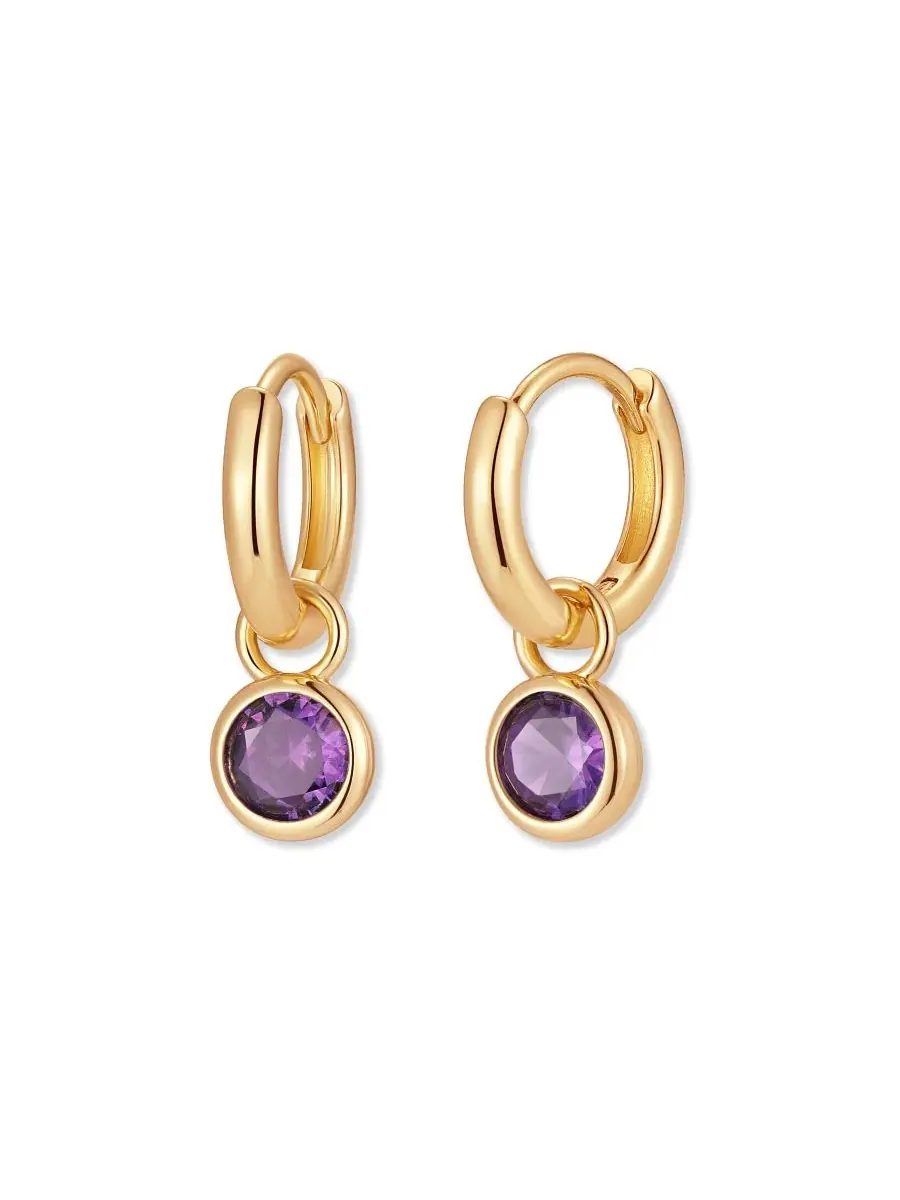 Серьги-кольца Matilda Birthstone Hoop с фианитом, 14k золотое покрытие brook & york, Feb — изображение 1 из 3