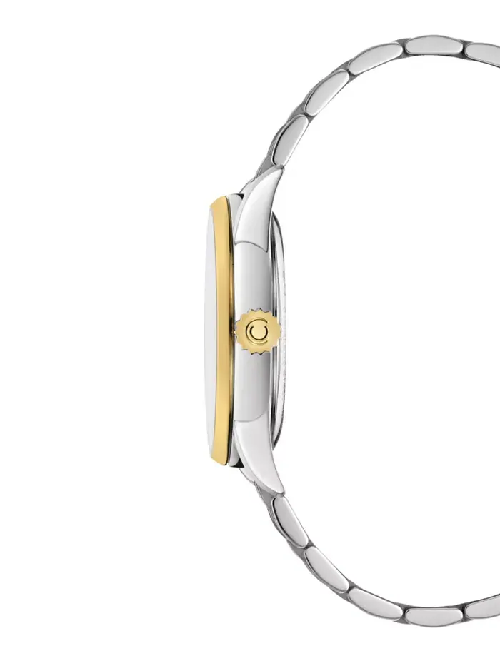 Унисекс-часы Swiss Automatic DS-1 Powermatic 80 с двухцветным браслетом из нержавеющей стали, 38 мм — изображение 3 из 4