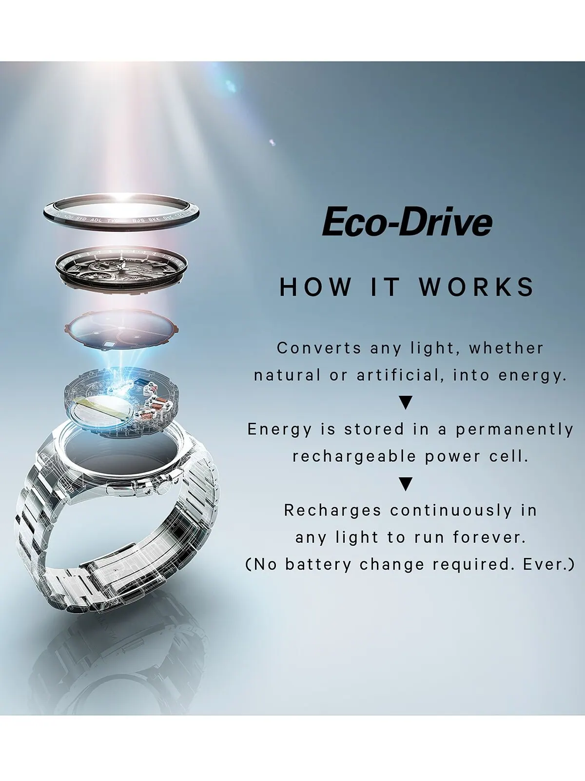 Женские двухцветные часы Eco-Drive с браслетом из нержавеющей стали, 28 мм EW2294-53L Citizen — изображение 6 из 6