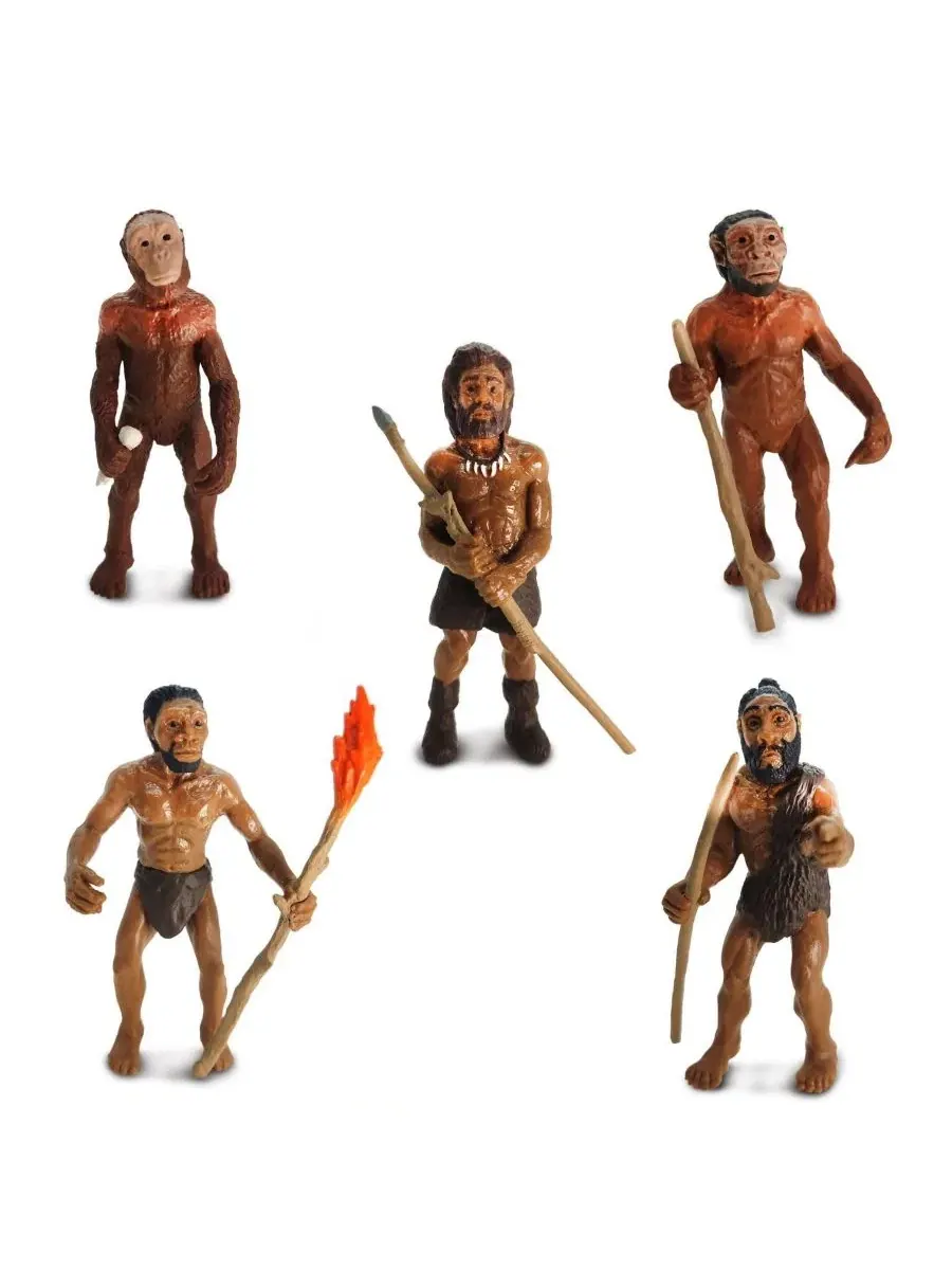 Набор фигурок Evolution of Man Safari Ltd., 5 фигурок — изображение 2 из 3, нет цвета