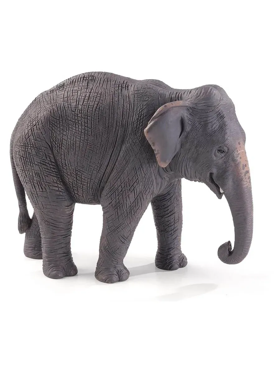 Фигурка азиатского слона Asian Elephant Mojo, Open Miscellaneous — изображение 1 из 1
