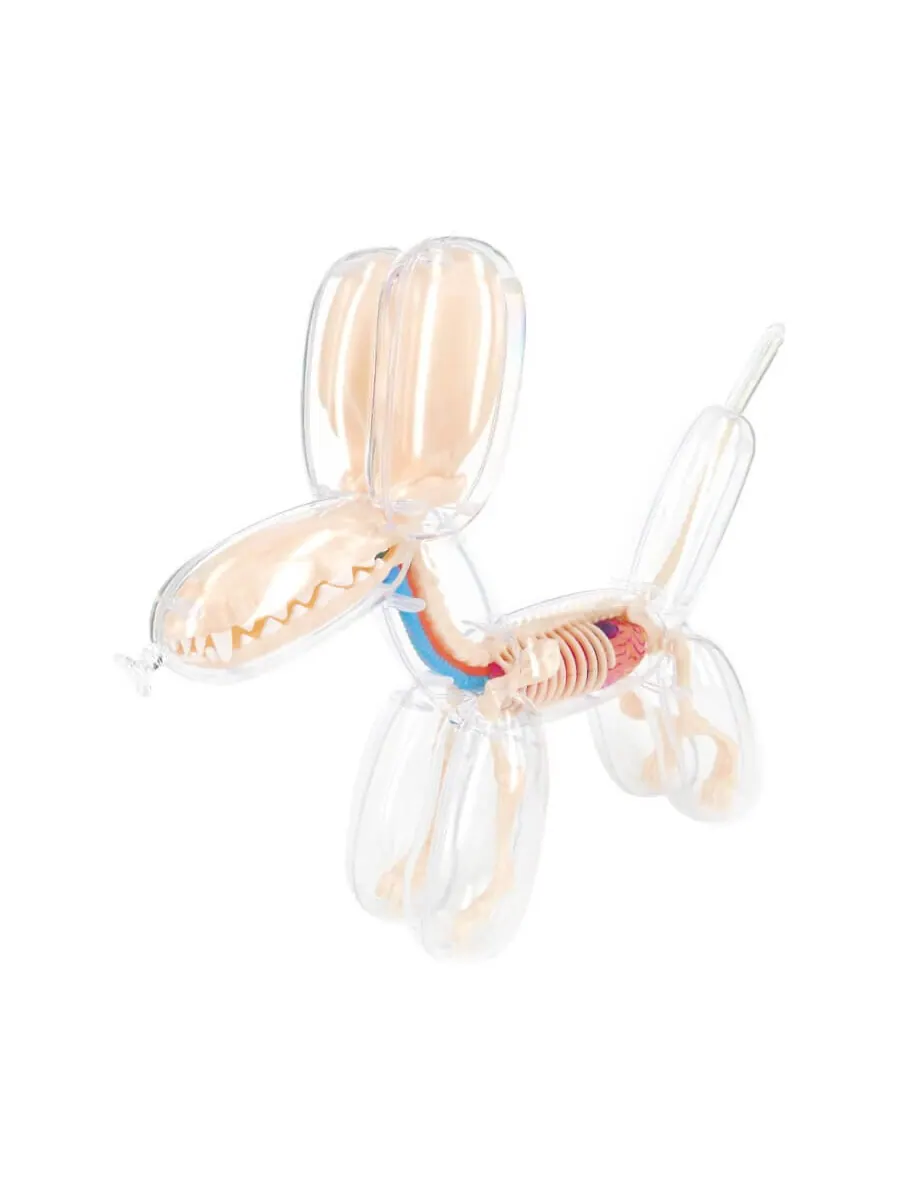 Фигурка Jason Freeny 4D Master Funny Anatomy Balloon Dog — изображение 1 из 1, прозрачный